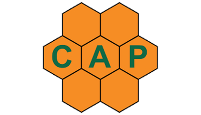 Constructors Association of Pakistan logo